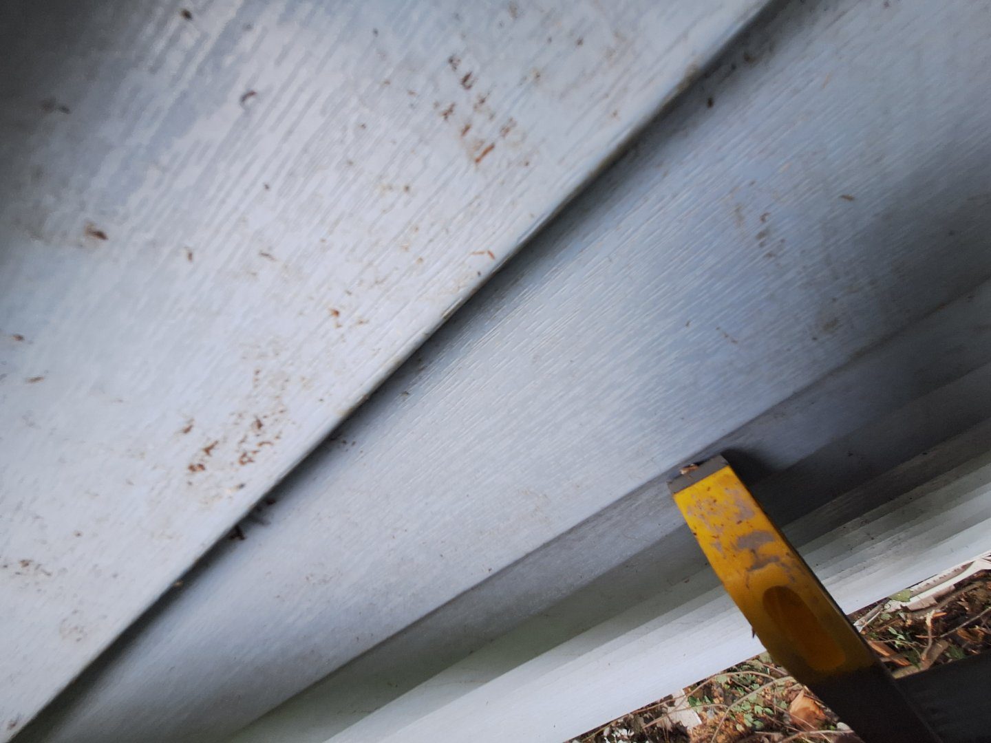 Isanti MN hail damage inspection photo
