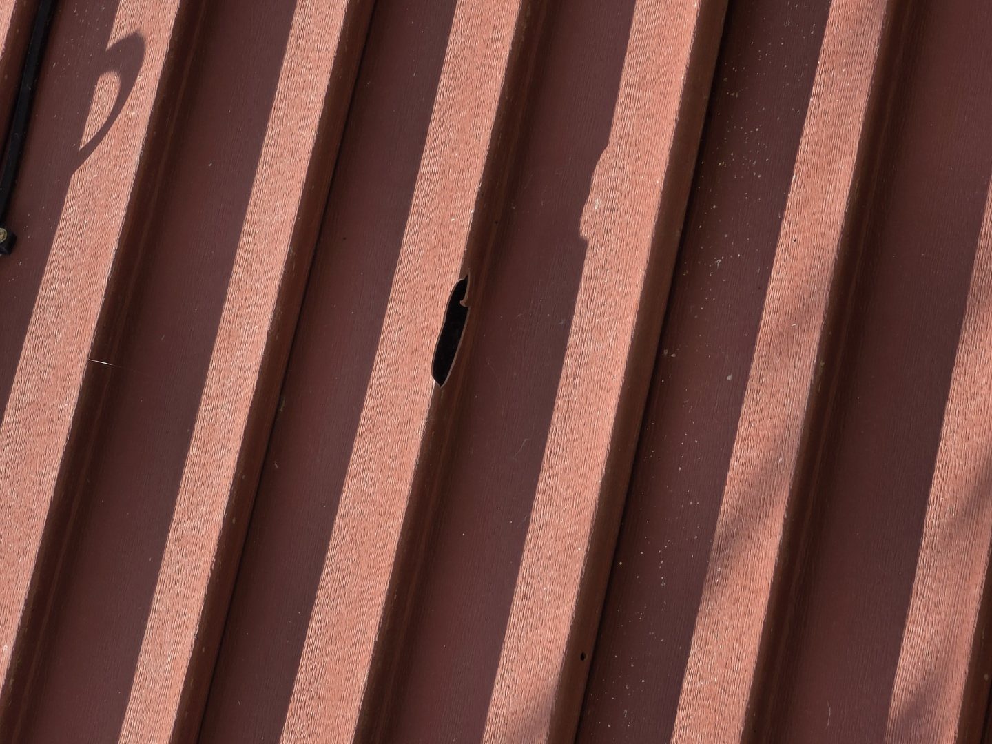 Red Wing Roof Inspection June 21, 2026 roof inspection update for Red Wing, MN homeowners comparing roofing companies after Twin Cities hail and wind damage. All Built Right Red Wing MN metal roof storm inspection photo 1